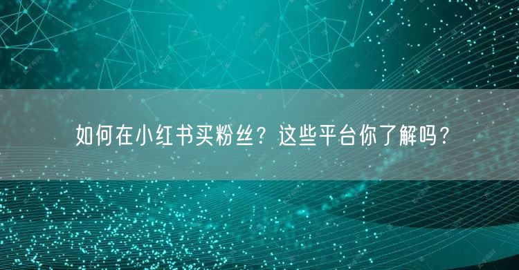 如何在小红书买粉丝？这些平台你了解吗？