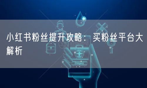 小红书粉丝提升攻略：买粉丝平台大解析