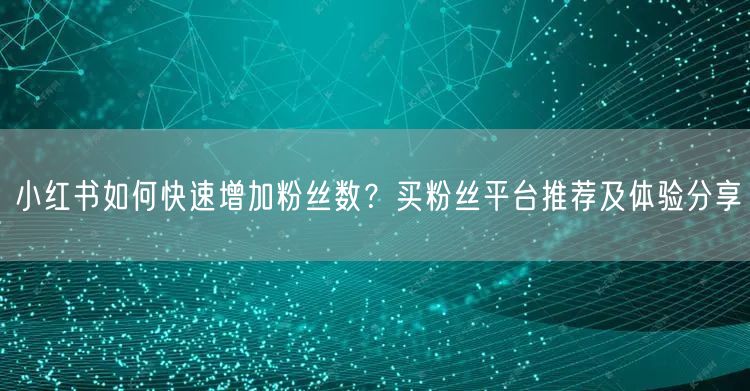 小红书如何快速增加粉丝数？买粉丝平台推荐及体验分享