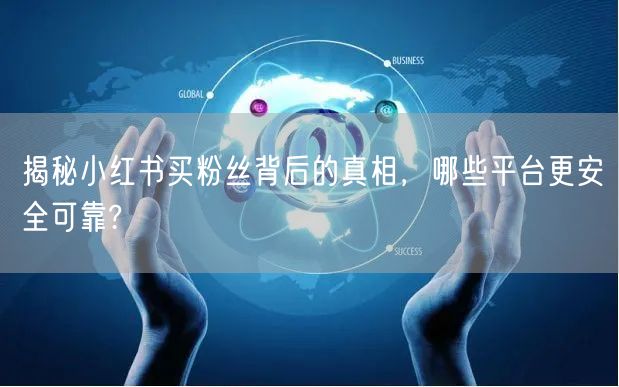 揭秘小红书买粉丝背后的真相，哪些平台更安全可靠?