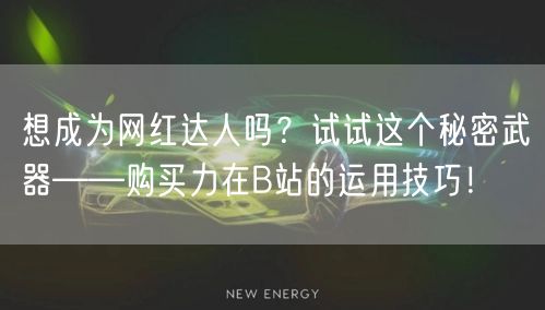 想成为网红达人吗？试试这个秘密武器——购买力在B站的运用技巧！