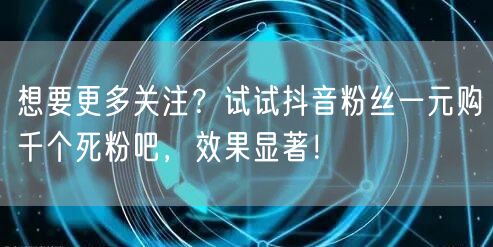 想要更多关注？试试抖音粉丝一元购千个死粉吧，效果显著！