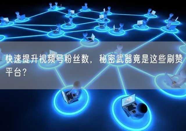 快速提升视频号粉丝数，秘密武器竟是这些刷赞平台？