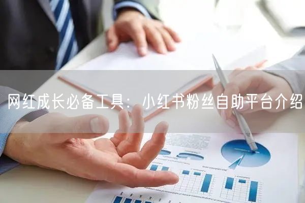 网红成长必备工具：小红书粉丝自助平台介绍