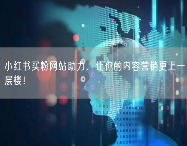 小红书买粉网站助力，让你的内容营销更上一层楼！