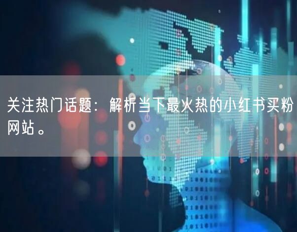 关注热门话题：解析当下最火热的小红书买粉网站。