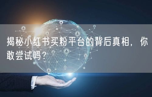 揭秘小红书买粉平台的背后真相，你敢尝试吗？