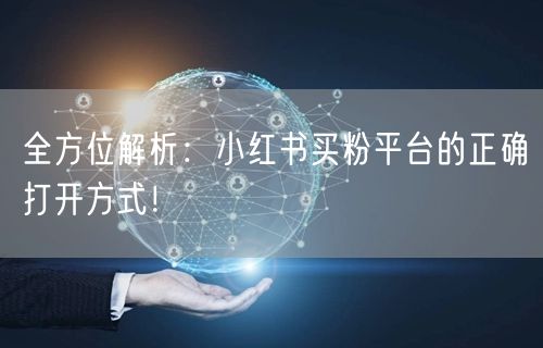 全方位解析：小红书买粉平台的正确打开方式！