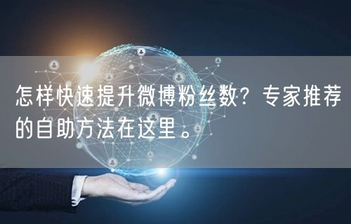 怎样快速提升微博粉丝数？专家推荐的自助方法在这里。